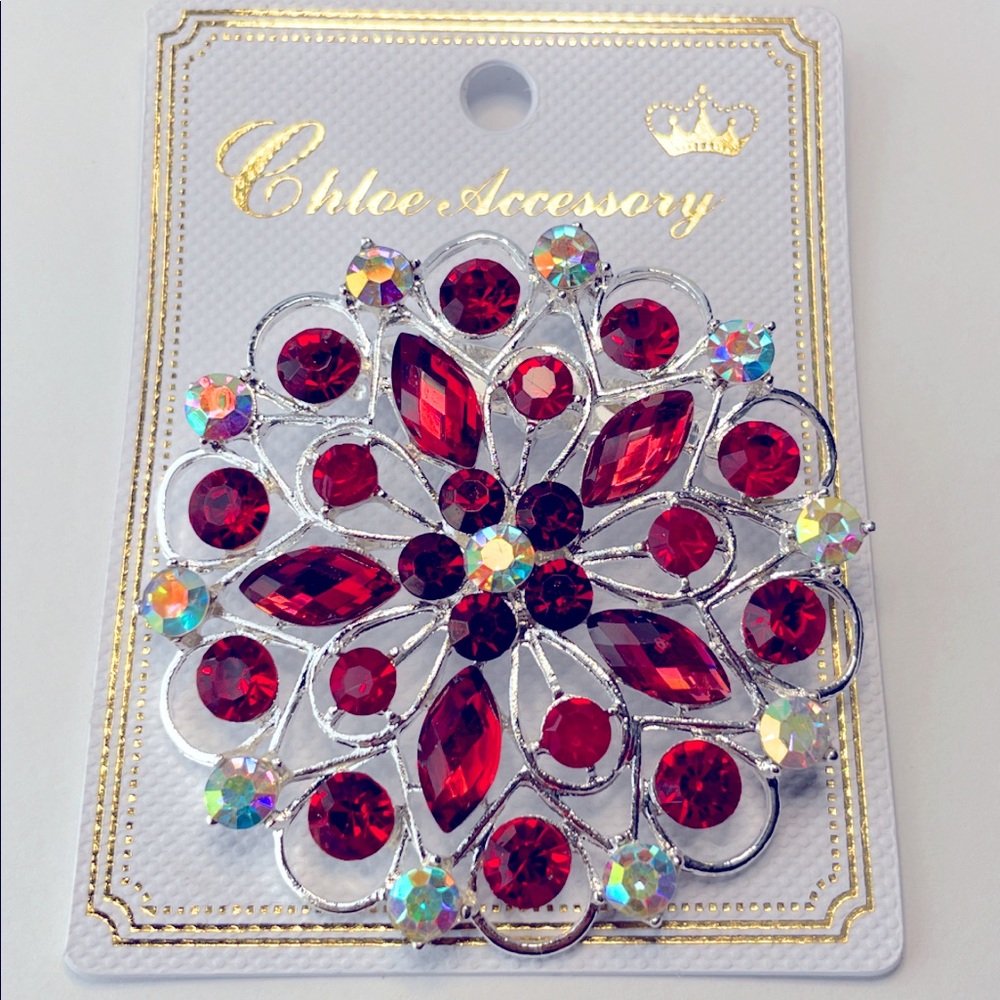 NEW Beautiful Brooch